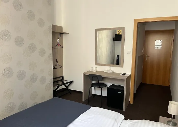 Hotel U Dvou Medvidku 3*