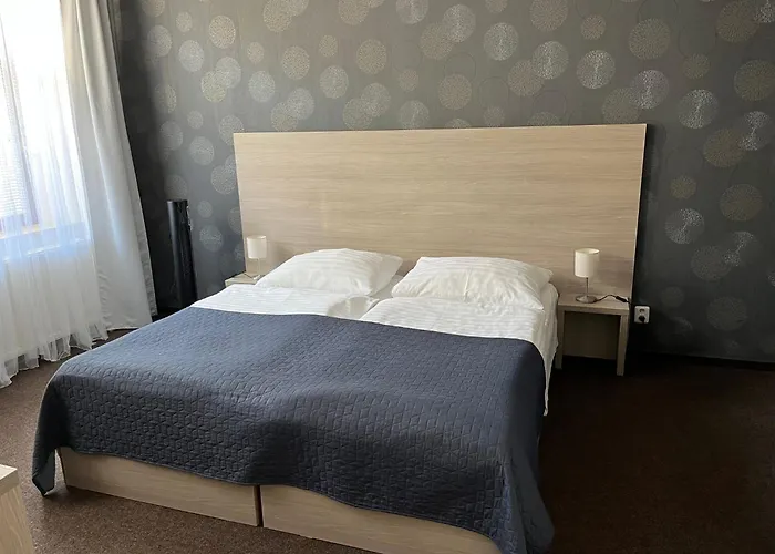 U Dvou Medvidku Hotel Chomutov