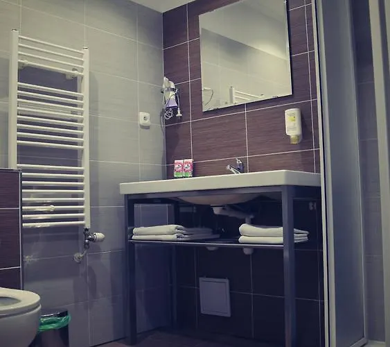 Hotel U Dvou Medvidku 3*